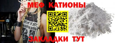 сатива Славгород