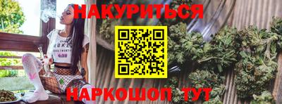 сатива Славгород