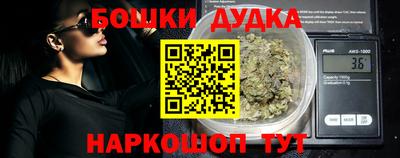 сатива Славгород