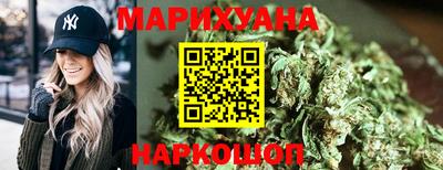 сатива Славгород