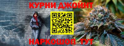 сатива Славгород