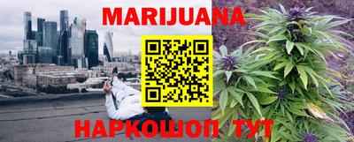 сатива Славгород