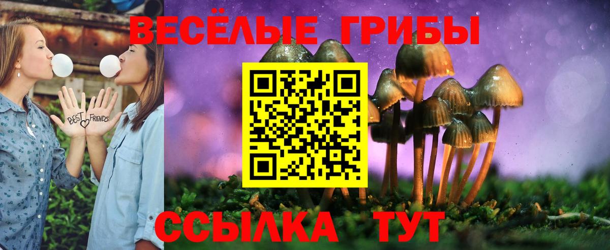 Псилоцибиновые грибы GOLDEN TEACHER Александров